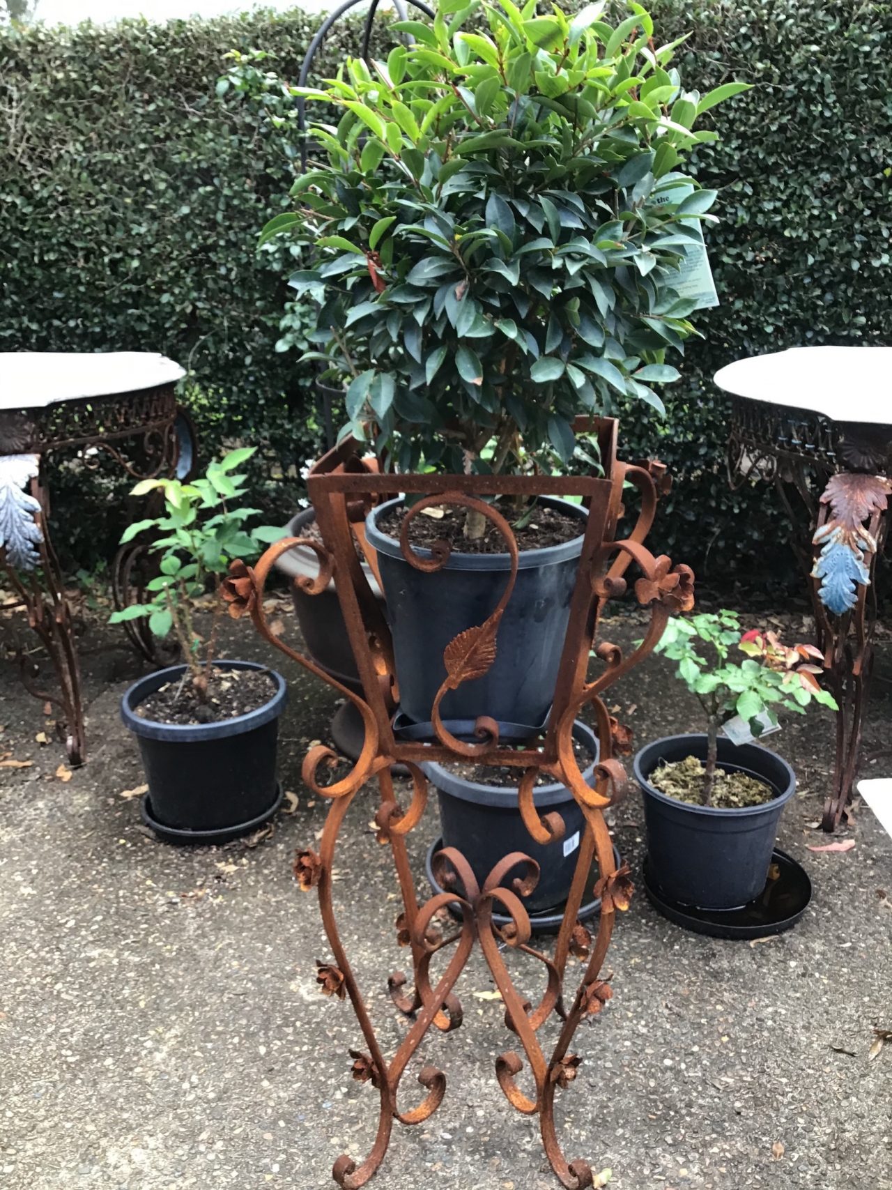 French Style Rustic Metal Planter $325 - Objects Of Interest